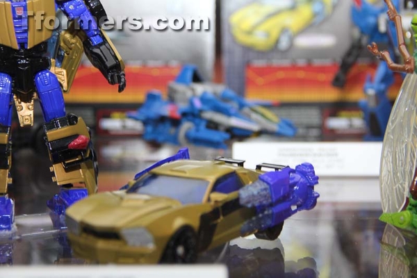 Transformers Sdcc 2013 Preview Night  (191 of 306)